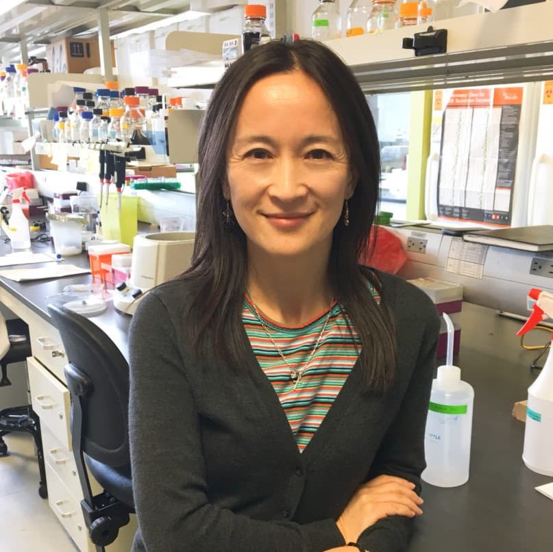Dr. Yi Sheng